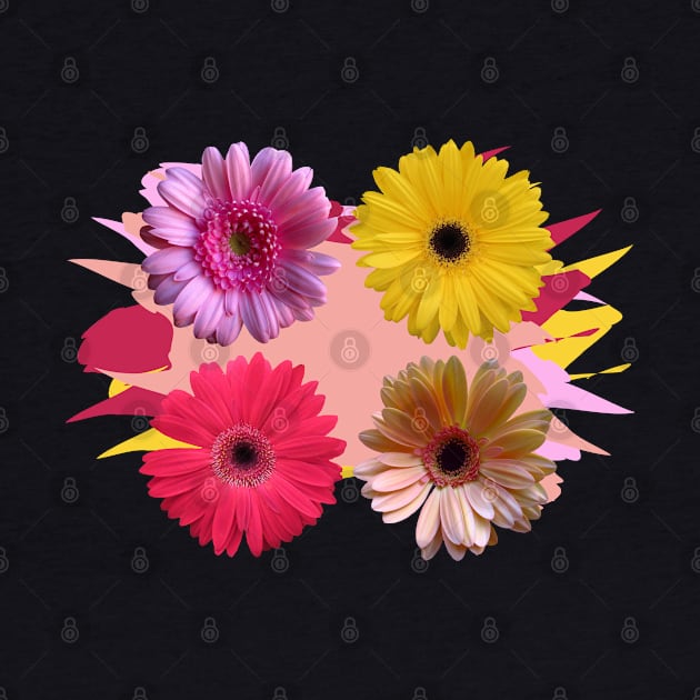 gerbera flowers, daisies, gerberas, daisy, bloom by rh_naturestyles